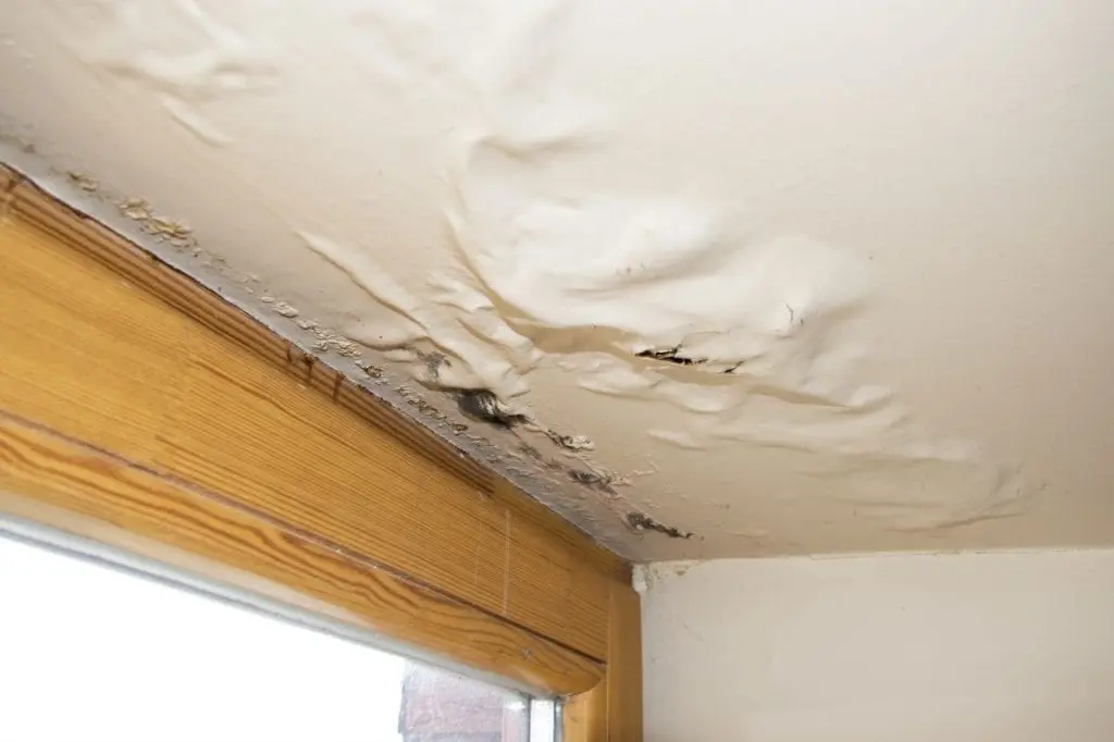 Water Damage Restoration Marketing: How to Win More Emergency Jobs